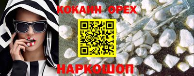 гашик Кингисепп