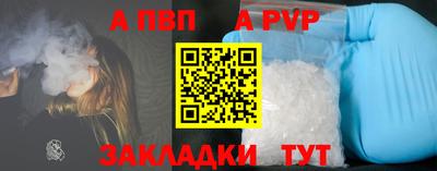 гашик Кингисепп