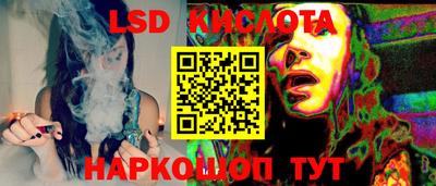 гашик Кингисепп
