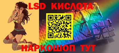 гашик Кингисепп