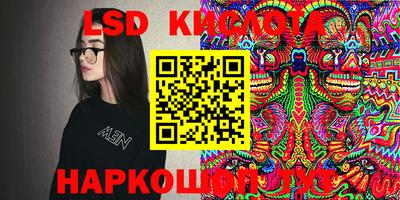 гашик Кингисепп
