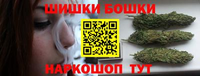 гашик Кингисепп