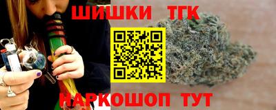 гашик Кингисепп