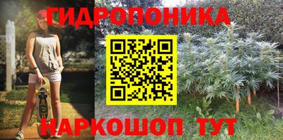 дживик Кимры