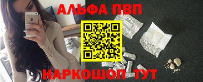 гашик Кингисепп