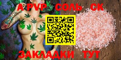 гашик Кингисепп