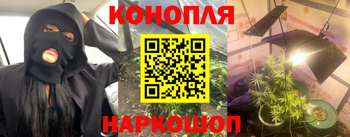 Бошки Шишки планчик  Каннабис OG Kush  Красный Сулин  МАРИХУАНА Amnesia  Вход с VPN  МАРИХУАНА сатива 